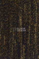 Грязезащитные покрытия Vebe Arco Pc Arco 60 фото 1 | FLOORDEALER